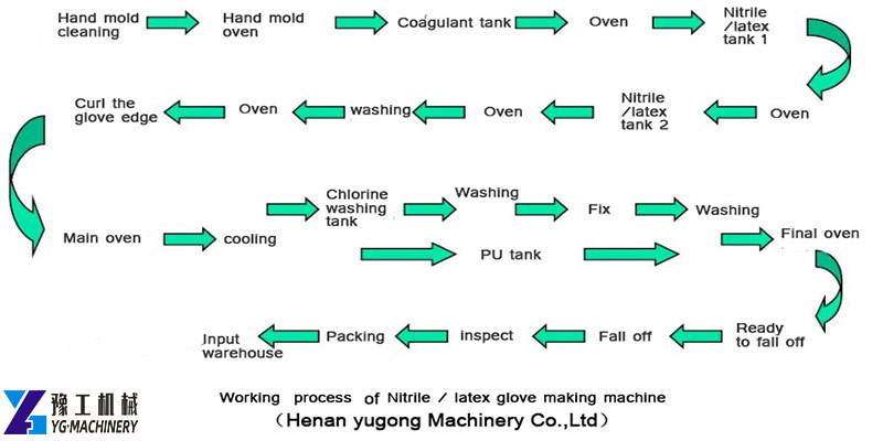 YG Glove Production Process